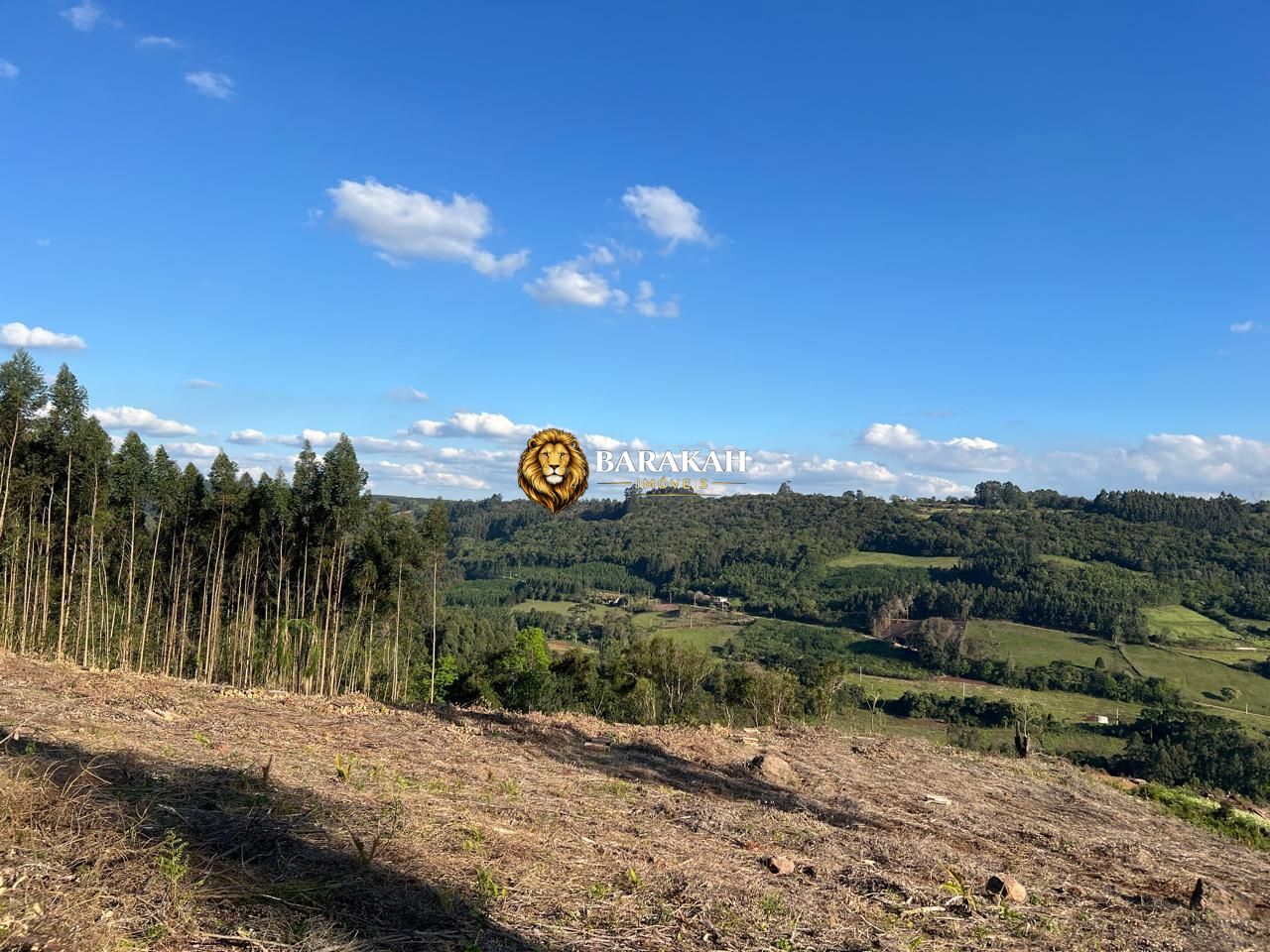 Sítio, 2 hectares - Foto 9