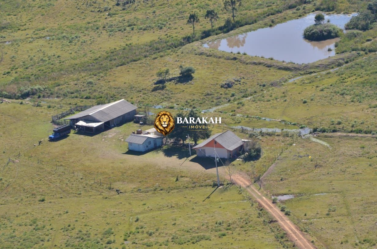 Fazenda, 13 hectares - Foto 4