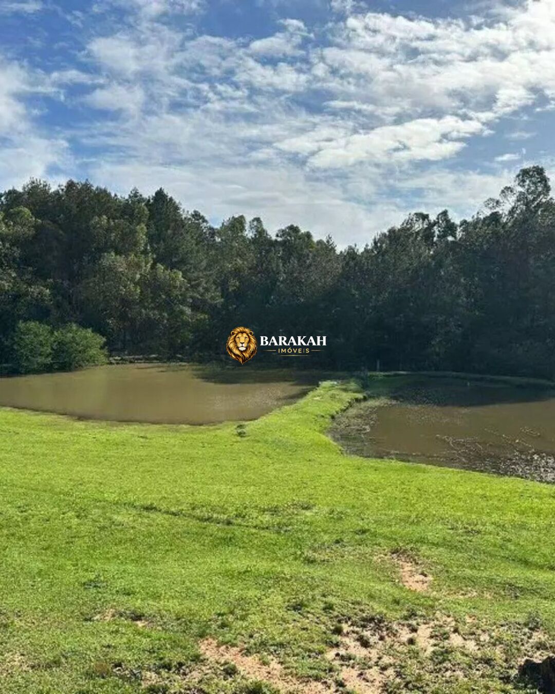 Terreno, 1 hectares - Foto 11