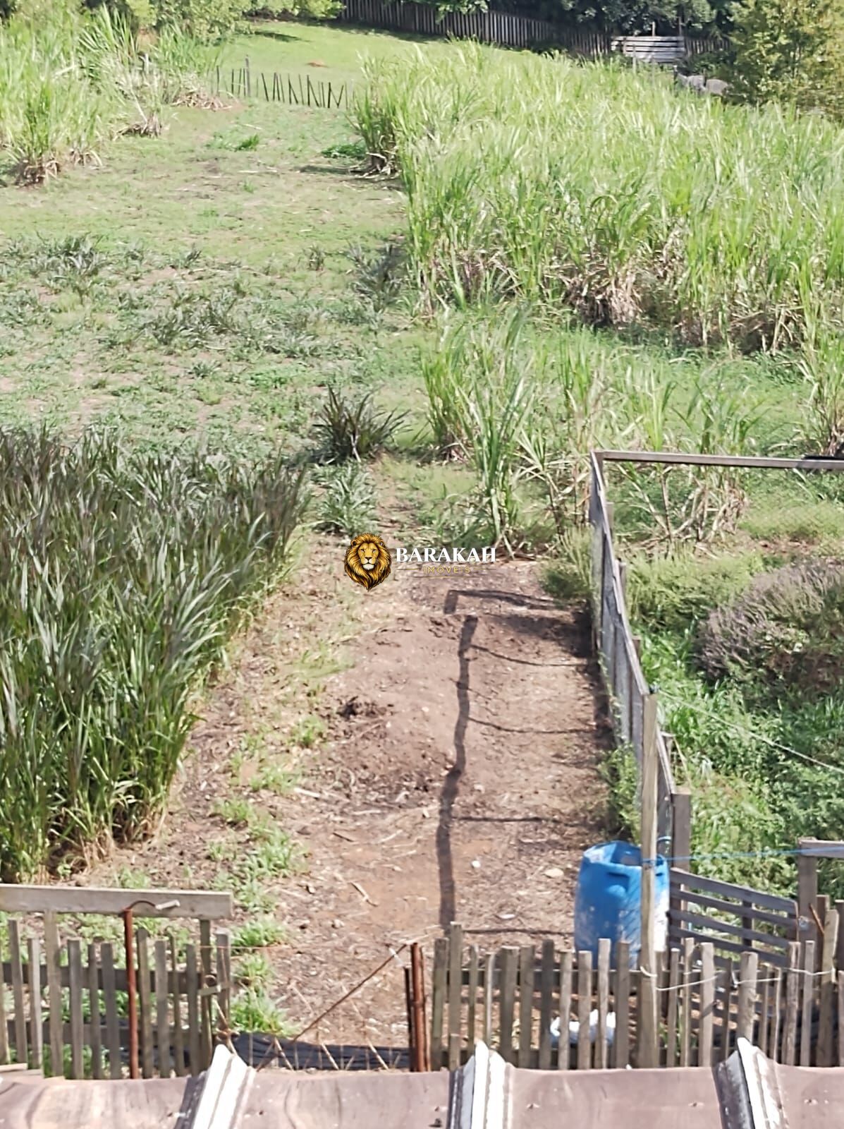 Terreno, 1 hectares - Foto 8