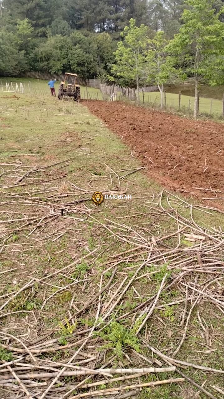 Terreno, 1 hectares - Foto 6