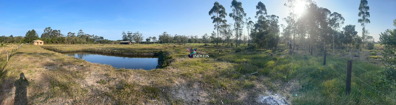 Fazenda à venda com 2 quartos, 6000m² - Foto 3