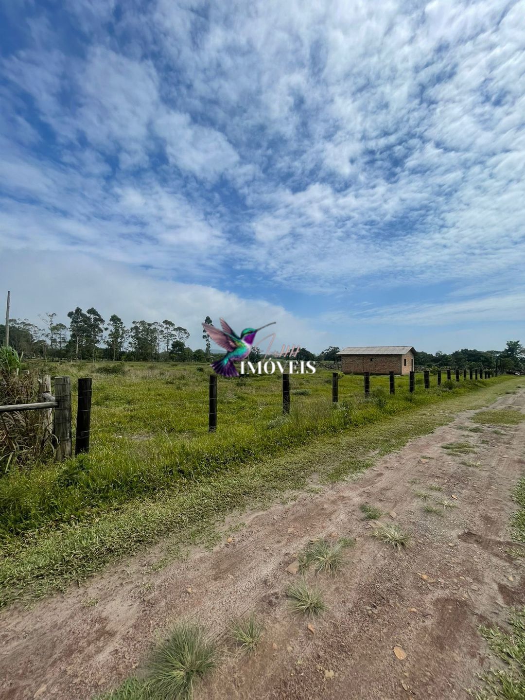 Fazenda à venda com 2 quartos, 6000m² - Foto 2