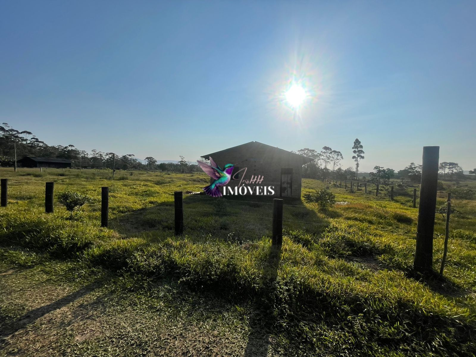 Fazenda à venda com 2 quartos, 6000m² - Foto 1