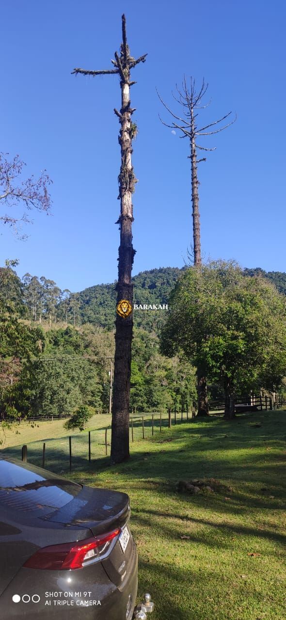 Sítio, 2 quartos, 16 hectares - Foto 14