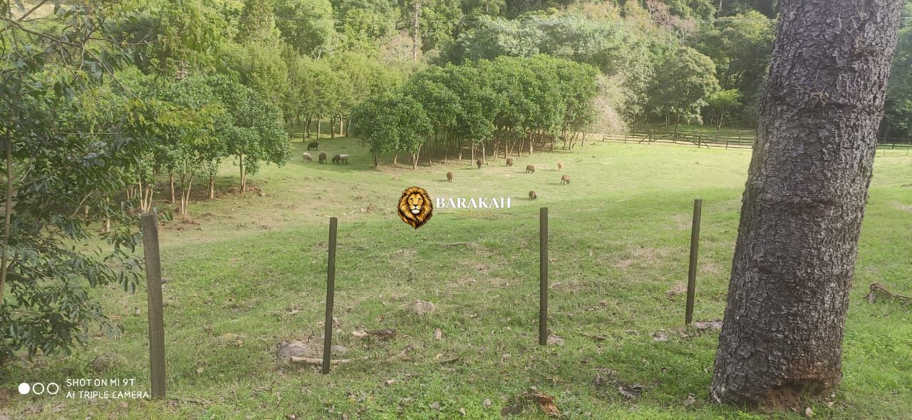Sítio, 2 quartos, 16 hectares - Foto 6