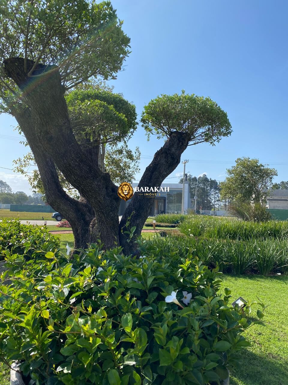 Casa, 4 quartos, 318 m² - Foto 36