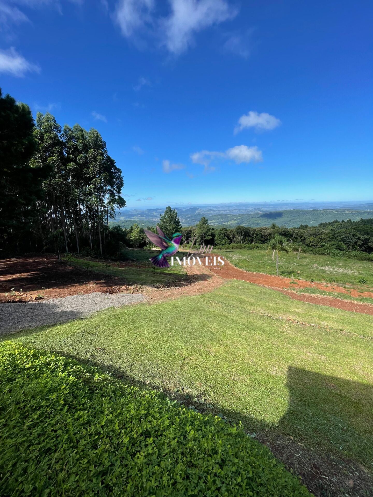 Fazenda à venda com 3 quartos, 100000m² - Foto 3