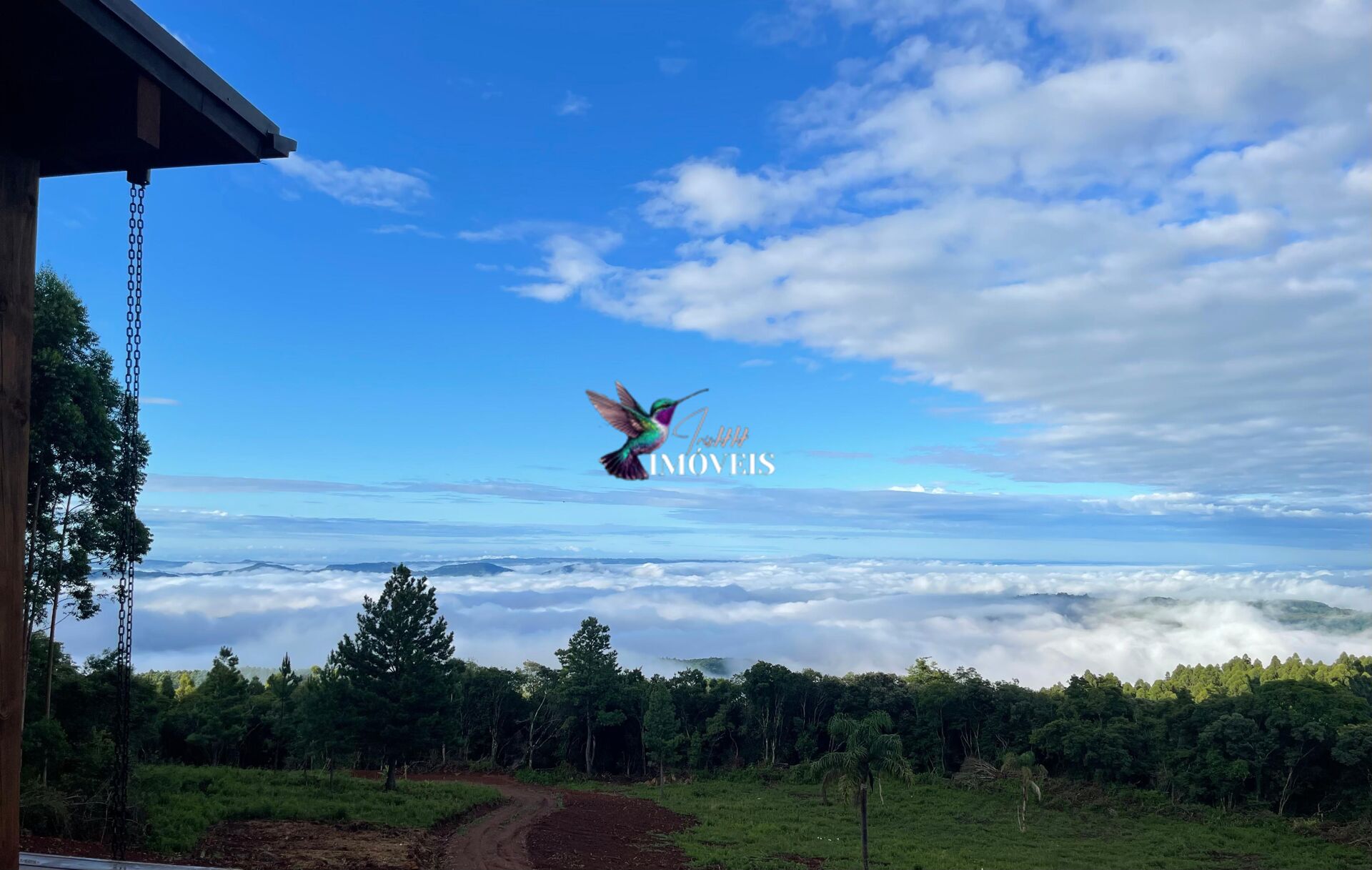 Fazenda à venda com 3 quartos, 100000m² - Foto 43