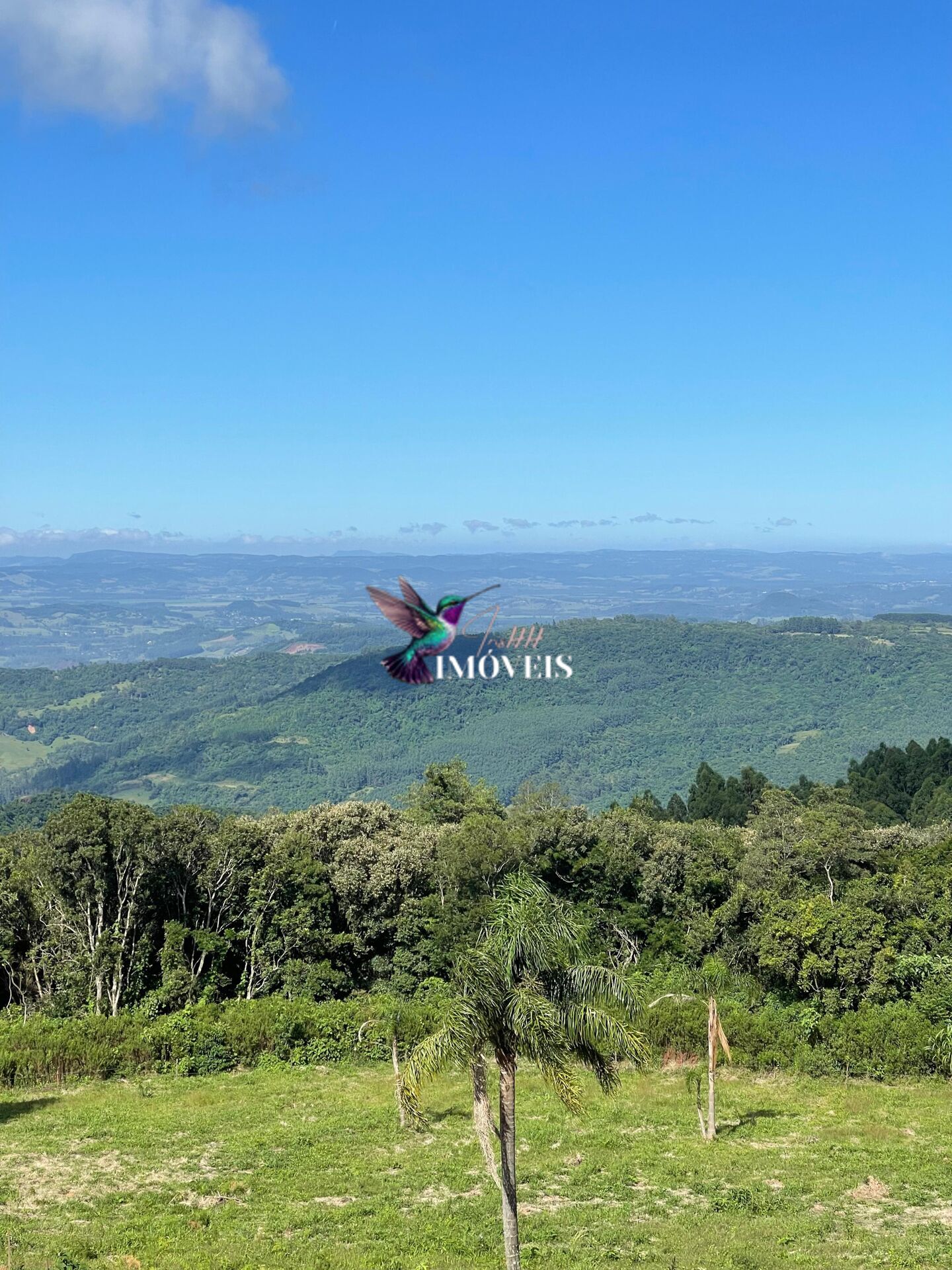 Fazenda à venda com 3 quartos, 100000m² - Foto 5