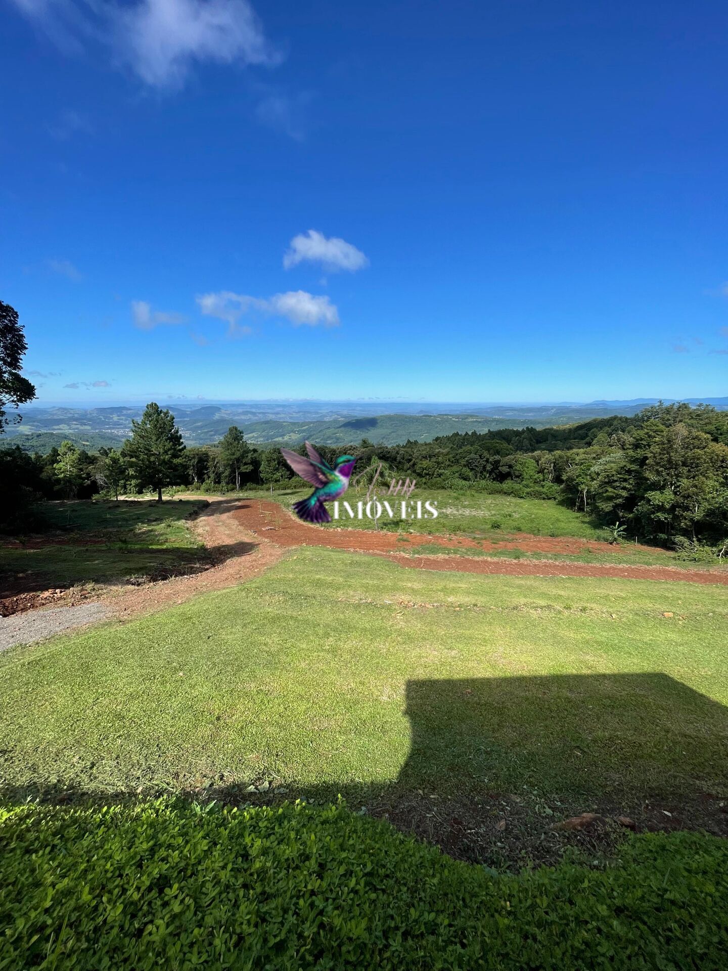 Fazenda à venda com 3 quartos, 100000m² - Foto 2