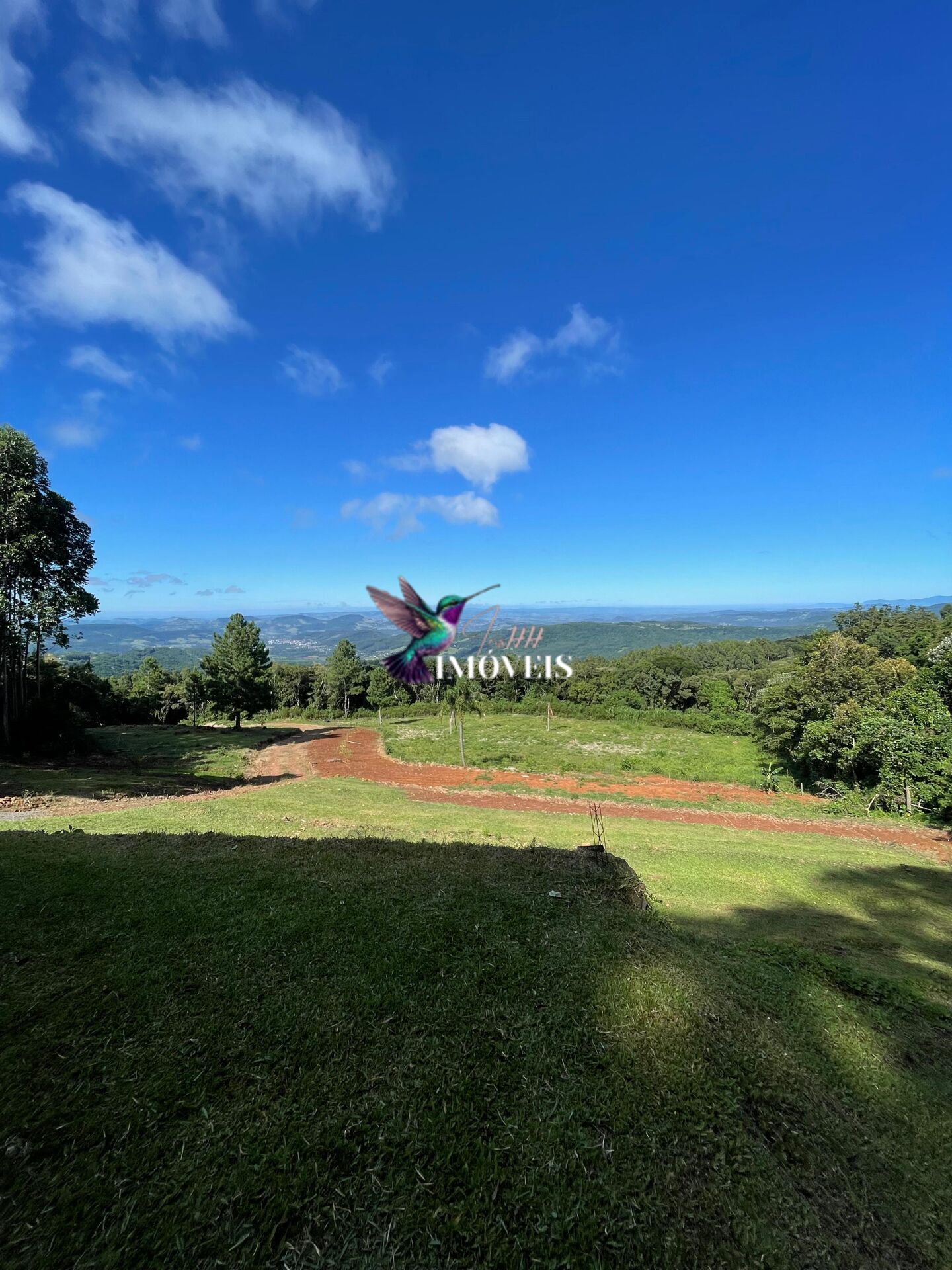 Fazenda à venda com 3 quartos, 100000m² - Foto 1