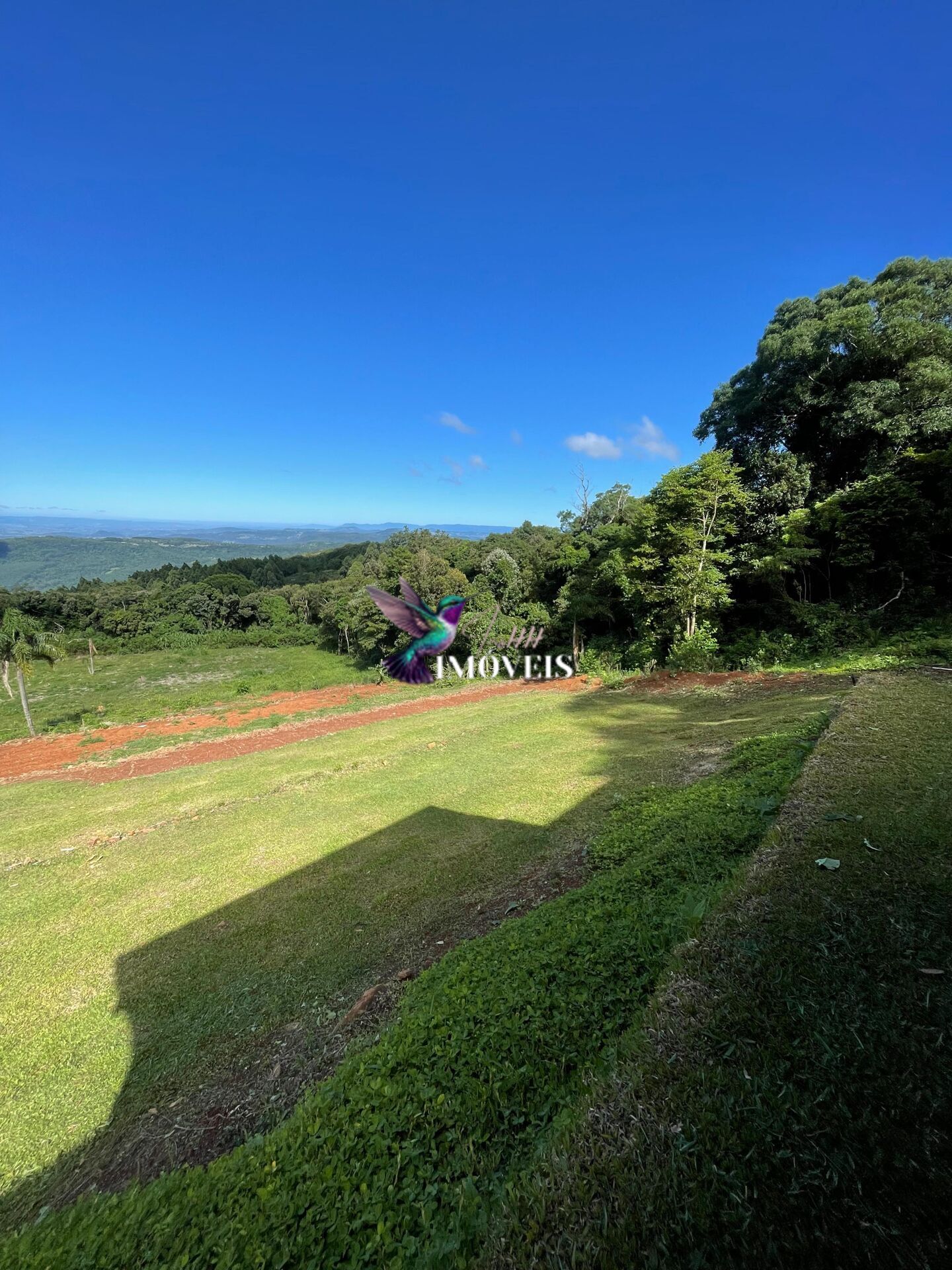 Fazenda à venda com 3 quartos, 100000m² - Foto 4