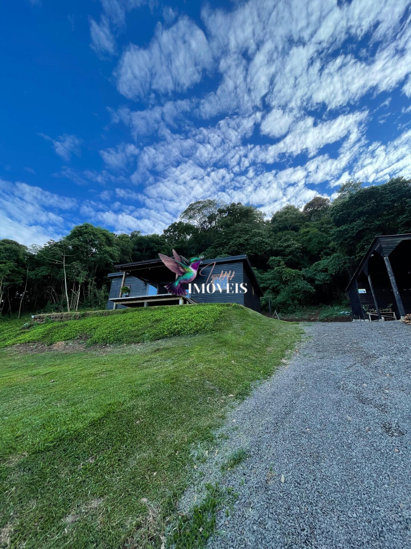 Fazenda à venda com 3 quartos, 100000m² - Foto 6