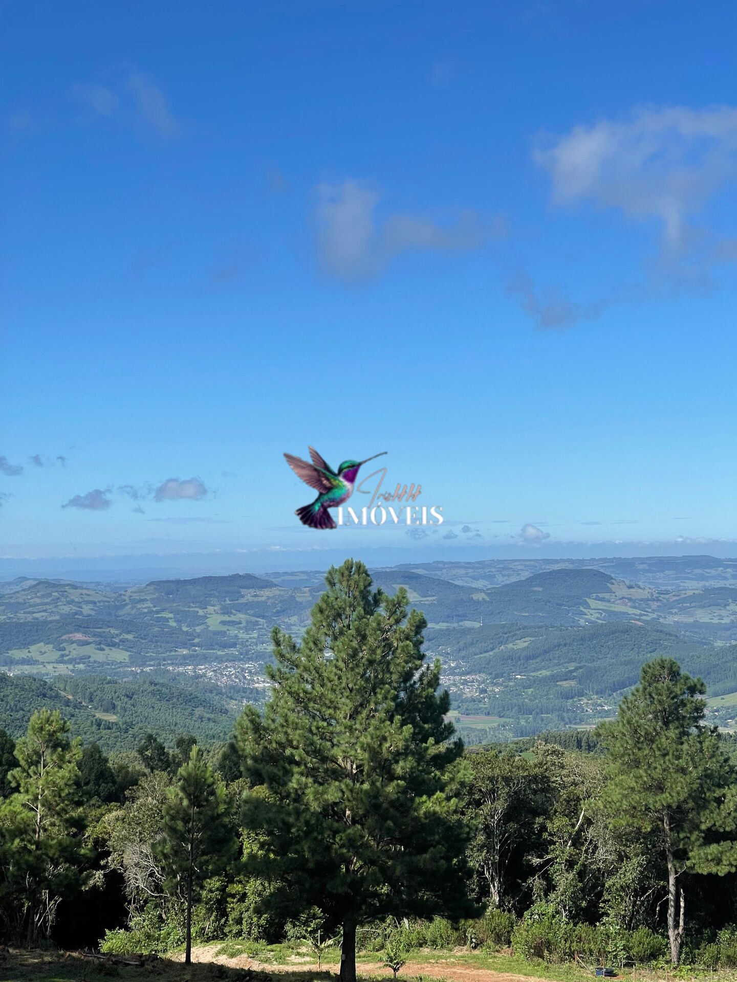 Fazenda à venda com 3 quartos, 100000m² - Foto 44