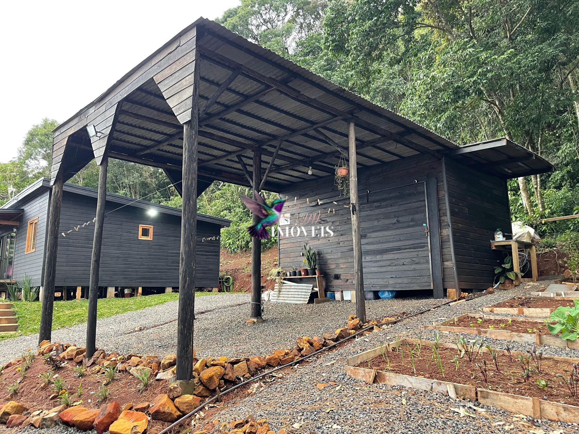 Fazenda à venda com 3 quartos, 100000m² - Foto 9