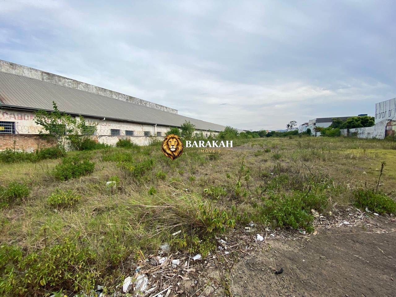 Terreno, 4785 m² - Foto 6