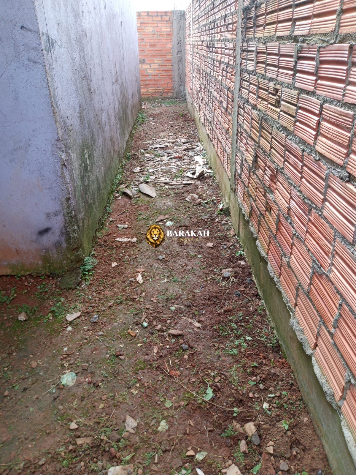 Casa, 3 quartos, 185 m² - Foto 11