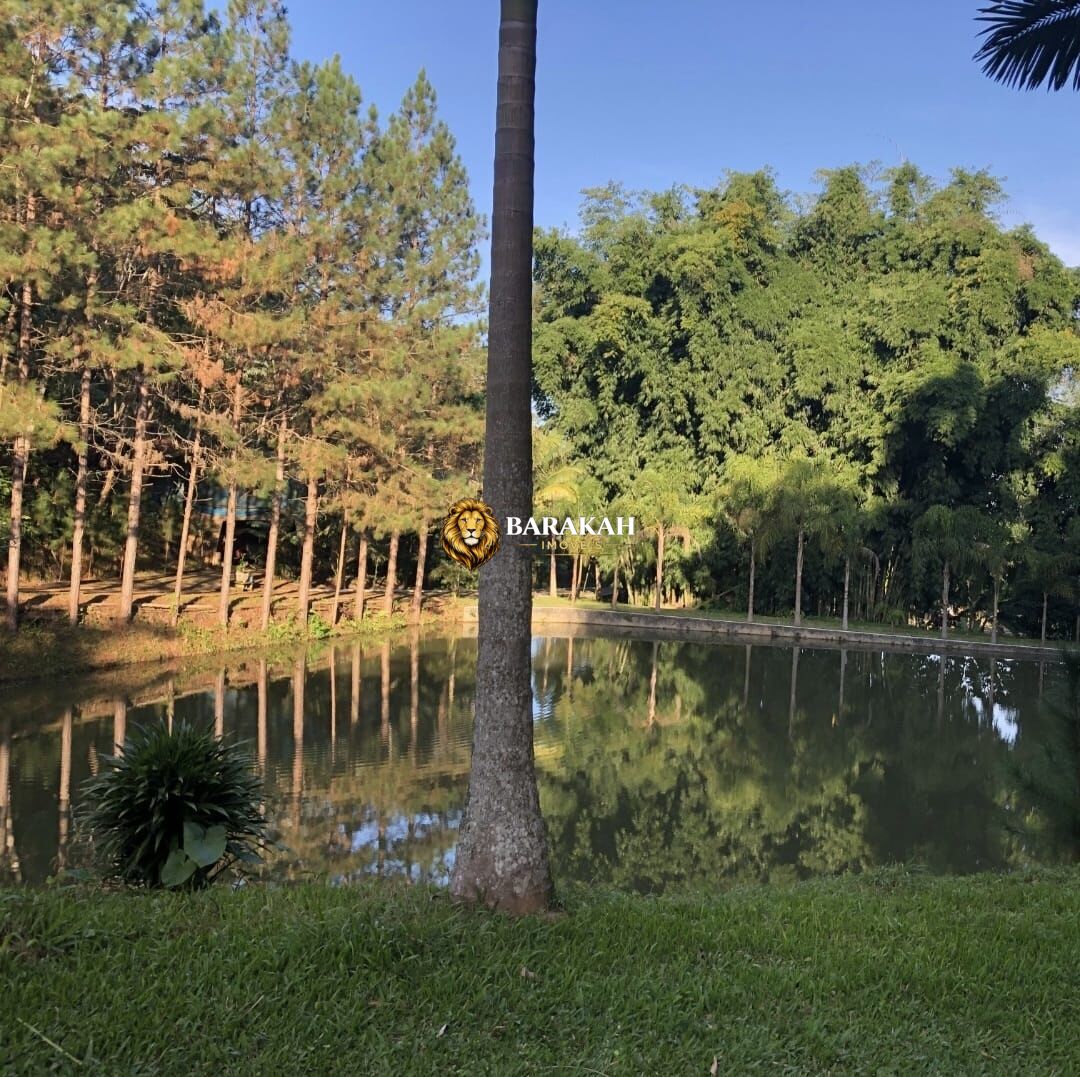 Chácara, 23 quartos, 12 hectares - Foto 28
