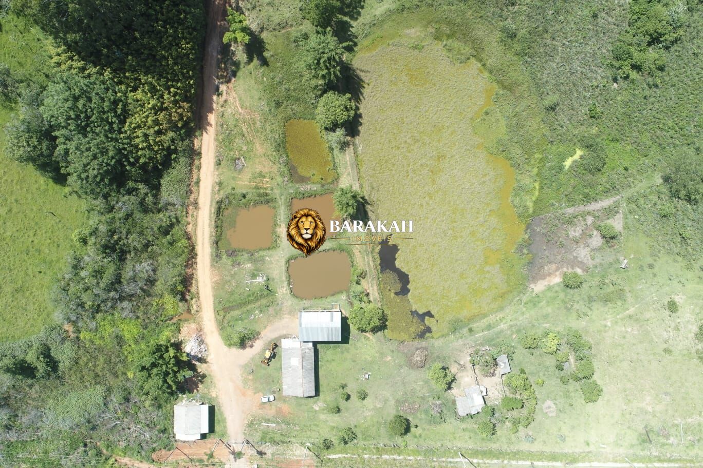 Terreno, 7185 hectares - Foto 4