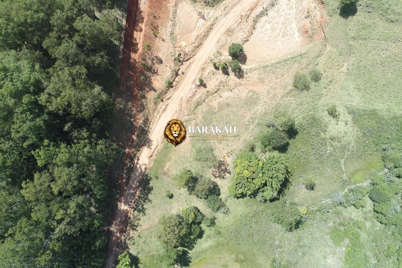 Terreno, 7185 hectares - Foto 8