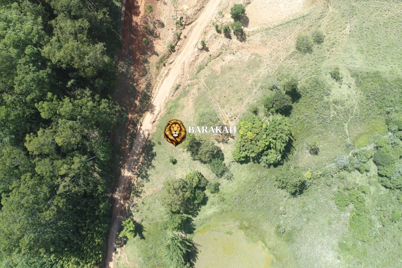 Terreno, 7185 hectares - Foto 7