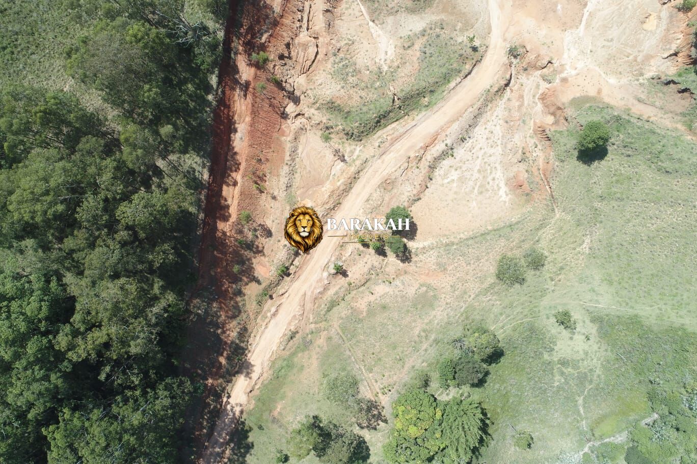 Terreno, 7185 hectares - Foto 12