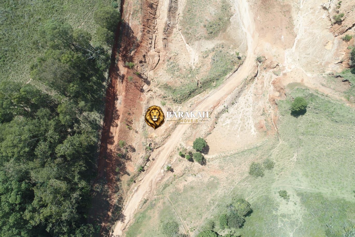 Terreno, 7185 hectares - Foto 10