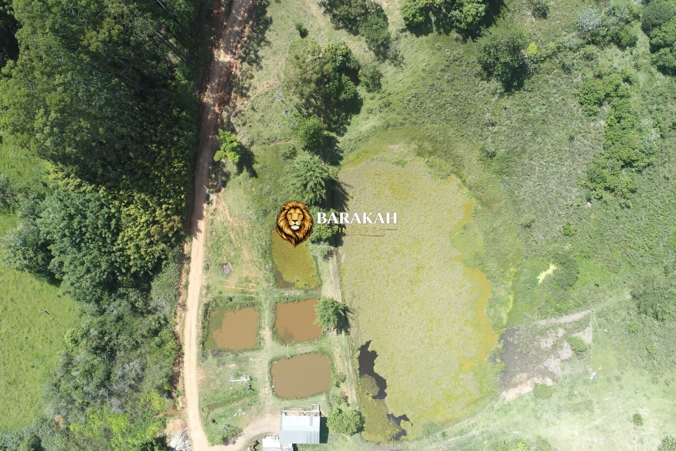 Terreno, 7185 hectares - Foto 6