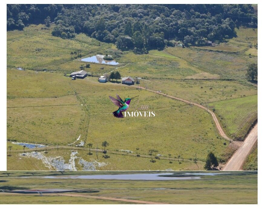Sítio à venda, 130000m² - Foto 2