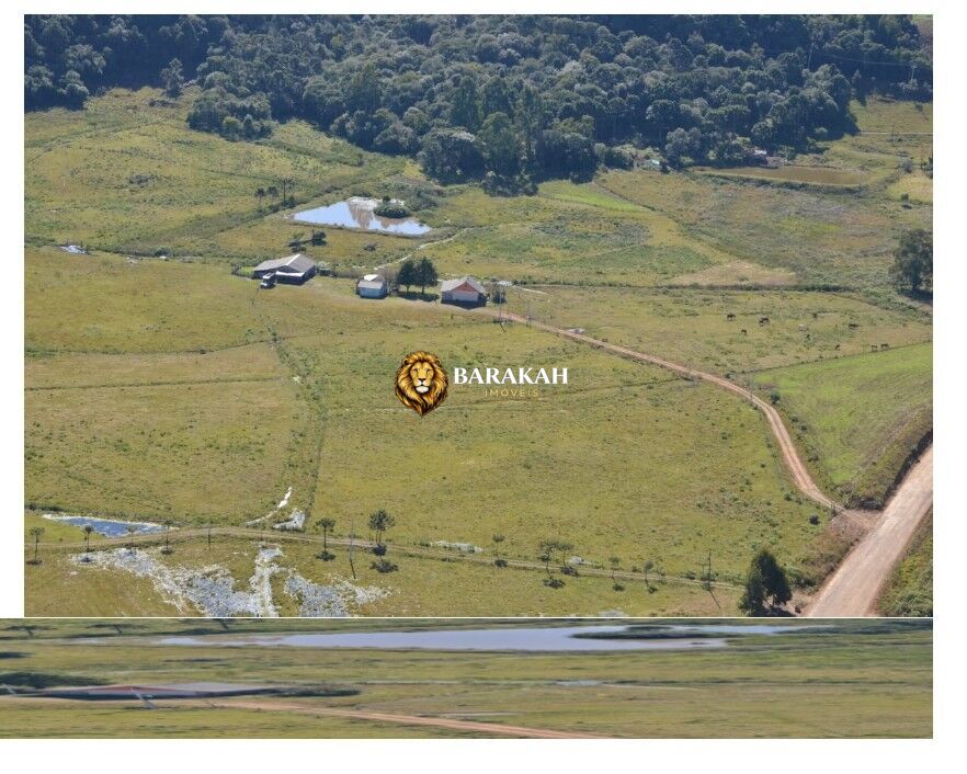 Sítio, 13 hectares - Foto 2