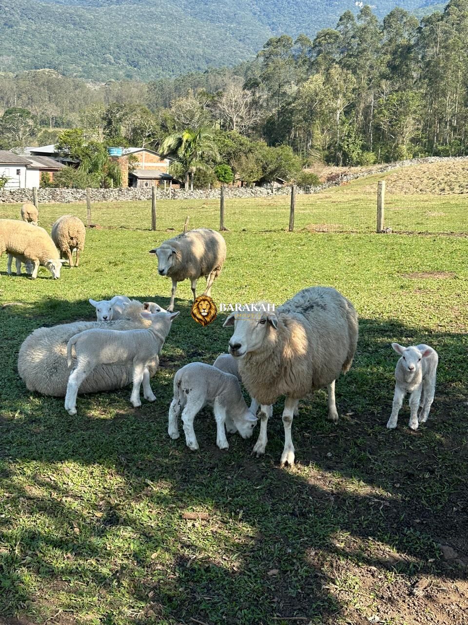 Sítio, 2 quartos, 20 hectares - Foto 3