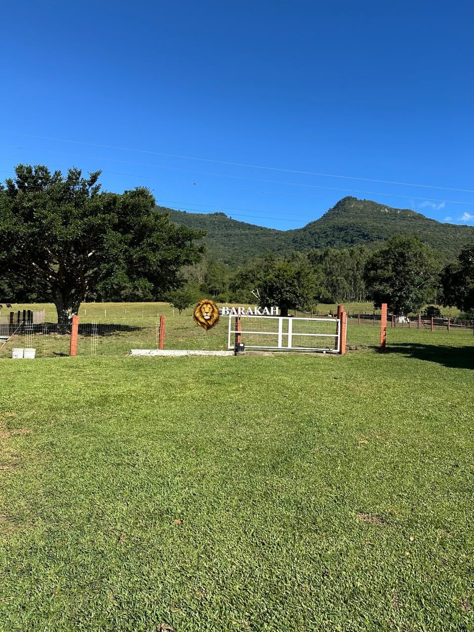Sítio, 2 quartos, 20 hectares - Foto 15