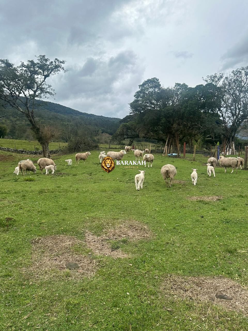 Sítio, 2 quartos, 20 hectares - Foto 4