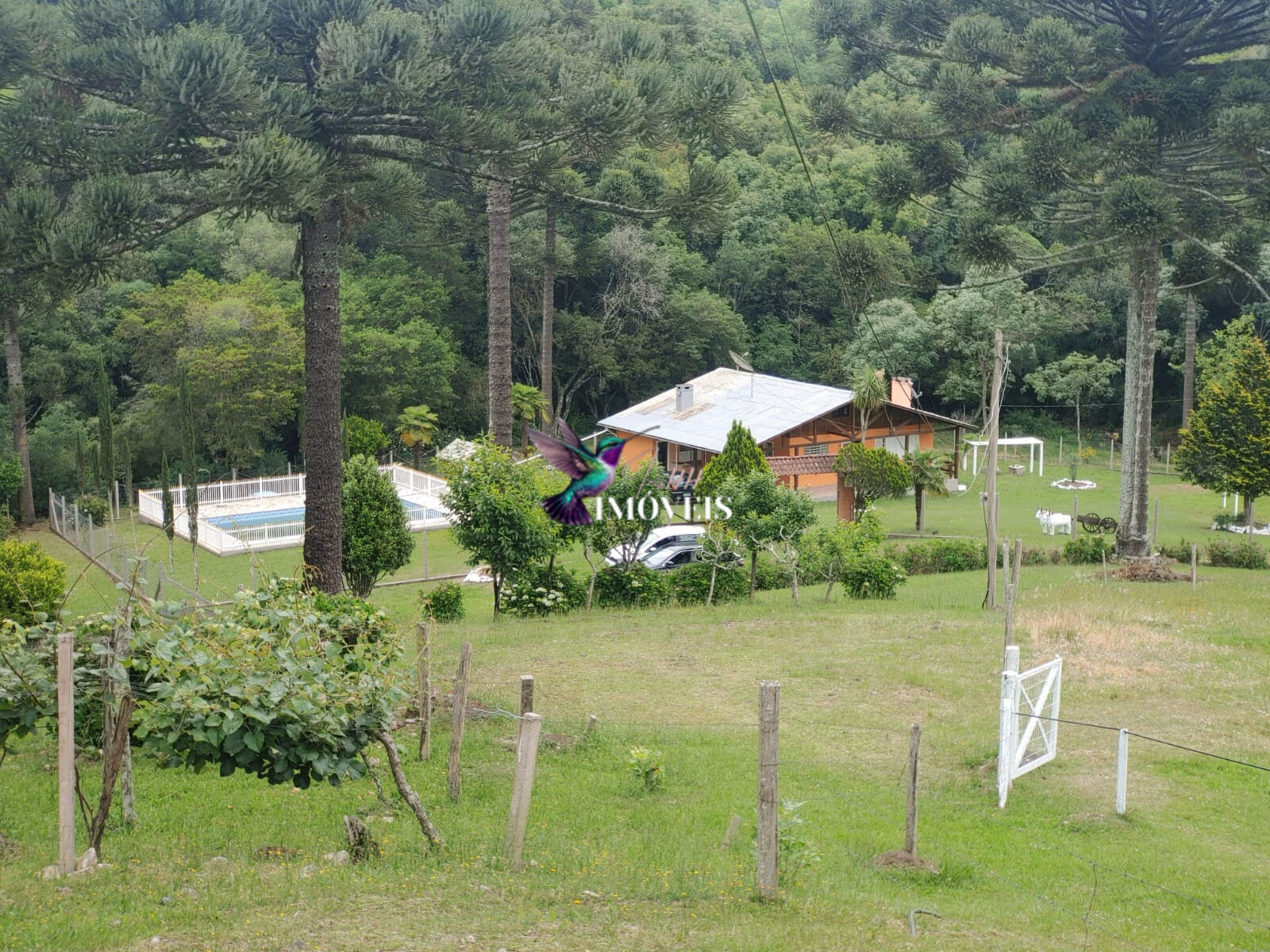 Chácara à venda com 4 quartos, 31000m² - Foto 36