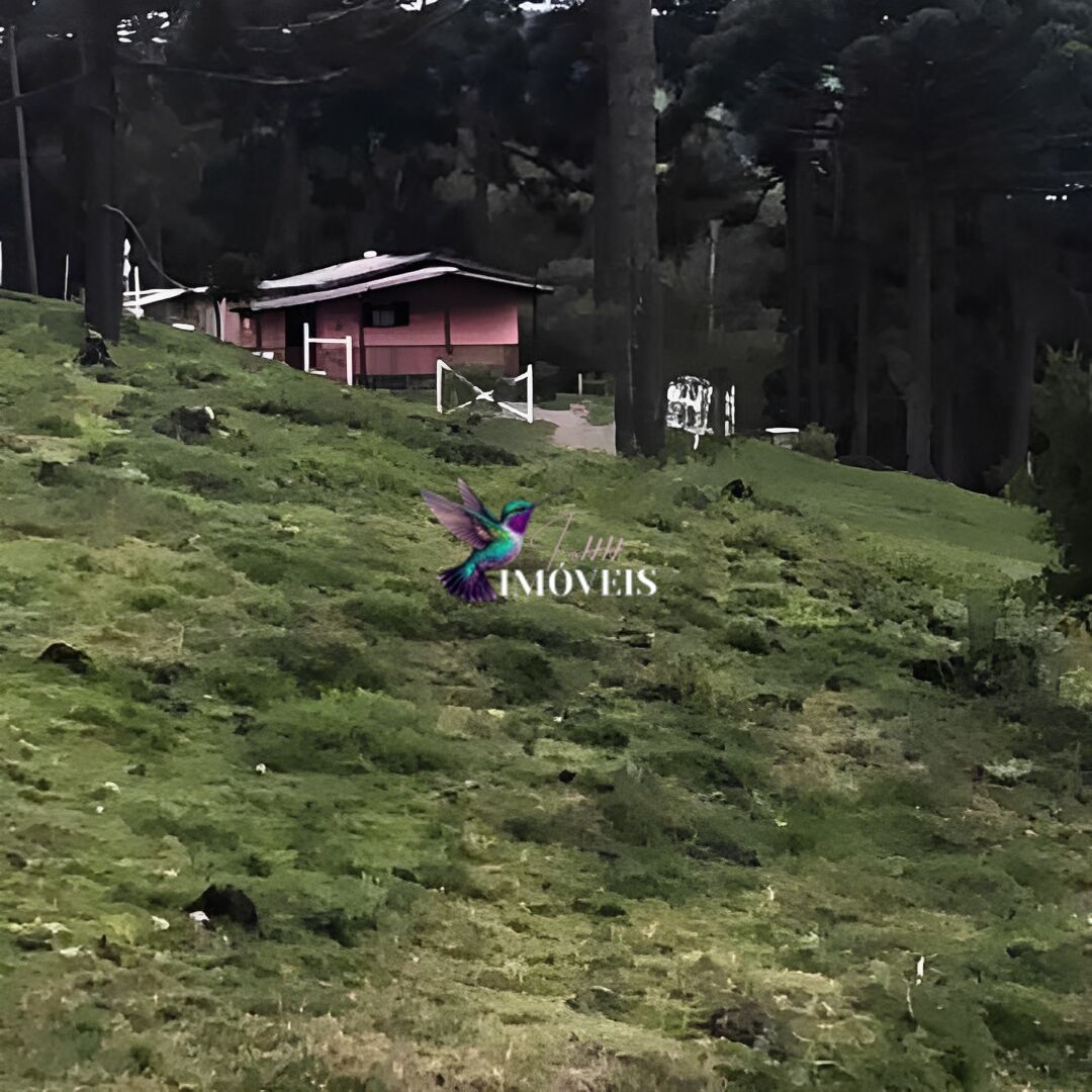 Chácara à venda com 4 quartos, 31000m² - Foto 25
