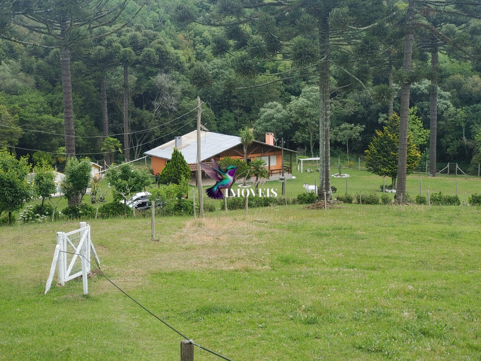 Chácara à venda com 4 quartos, 31000m² - Foto 43