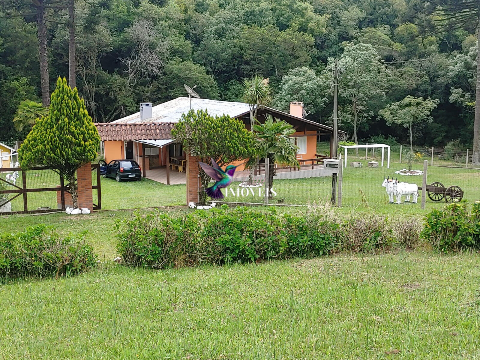 Chácara à venda com 4 quartos, 31000m² - Foto 2