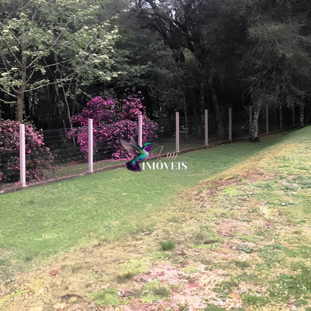 Chácara à venda com 4 quartos, 31000m² - Foto 23
