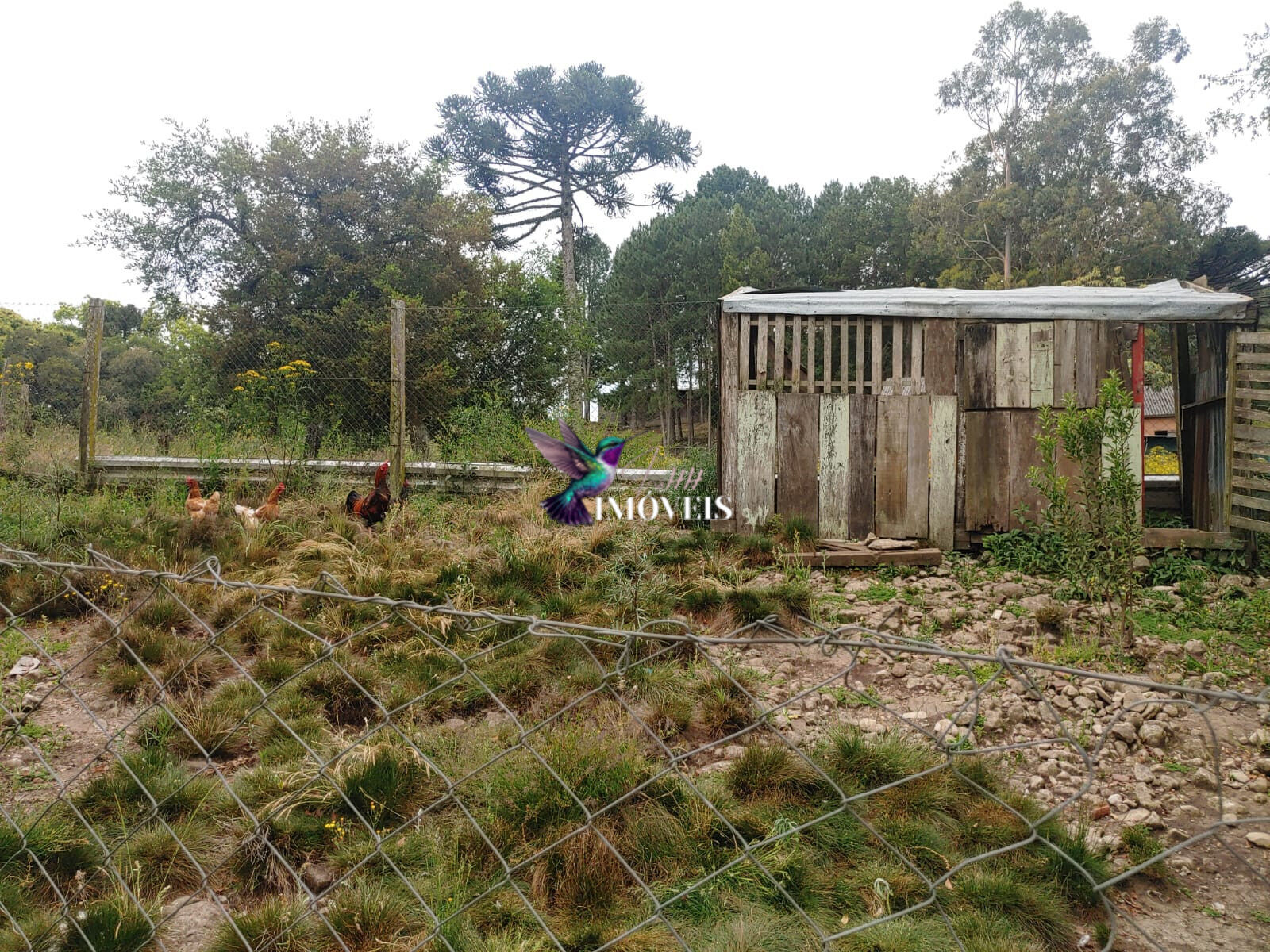 Chácara à venda com 4 quartos, 31000m² - Foto 38
