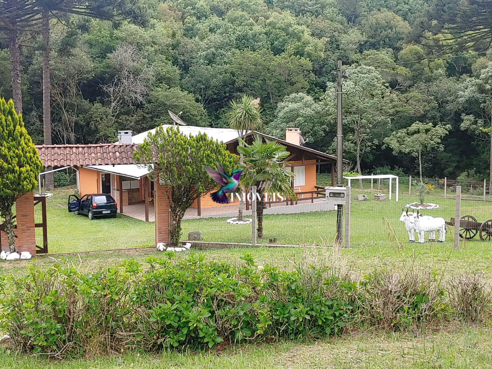 Chácara à venda com 4 quartos, 31000m² - Foto 1