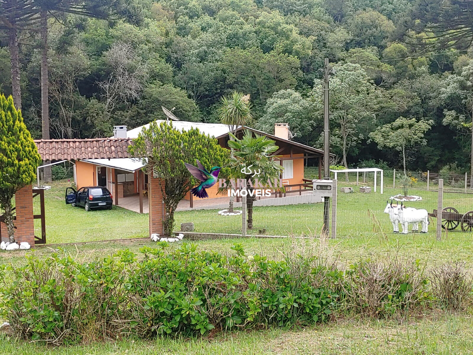 Chácara, 4 quartos, 3 hectares - Foto 1