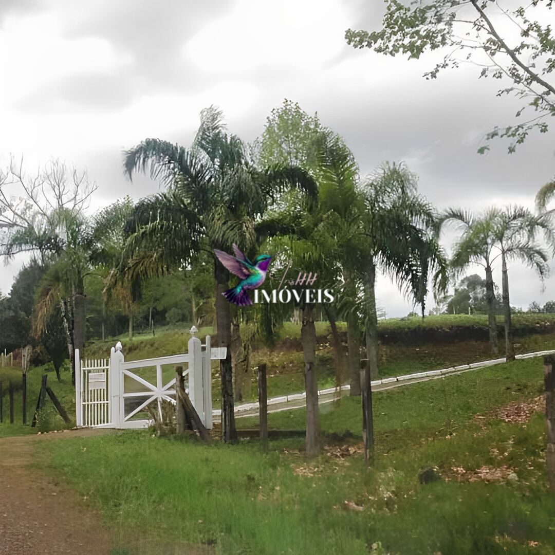 Chácara à venda com 4 quartos, 31000m² - Foto 32