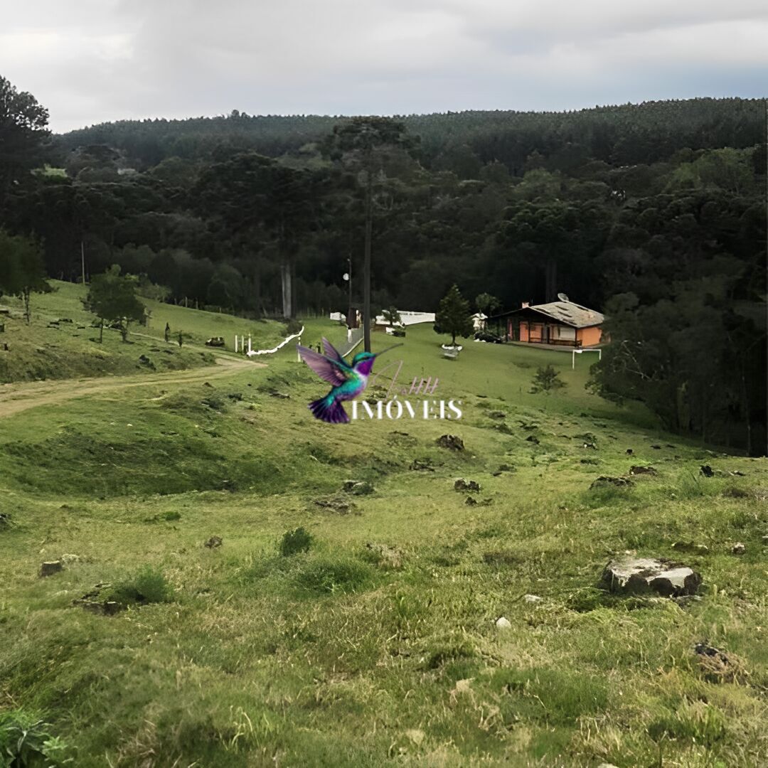 Chácara à venda com 4 quartos, 31000m² - Foto 26