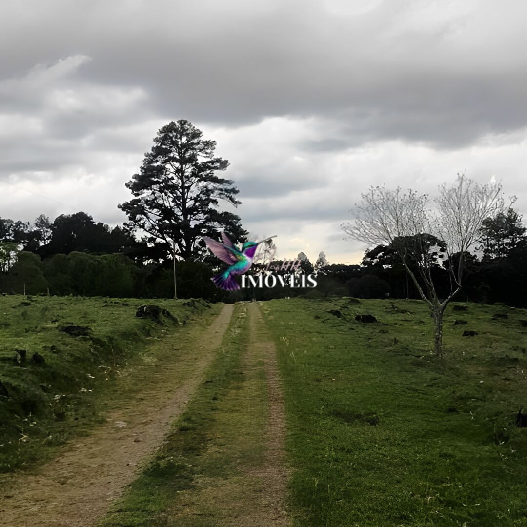 Chácara à venda com 4 quartos, 31000m² - Foto 27