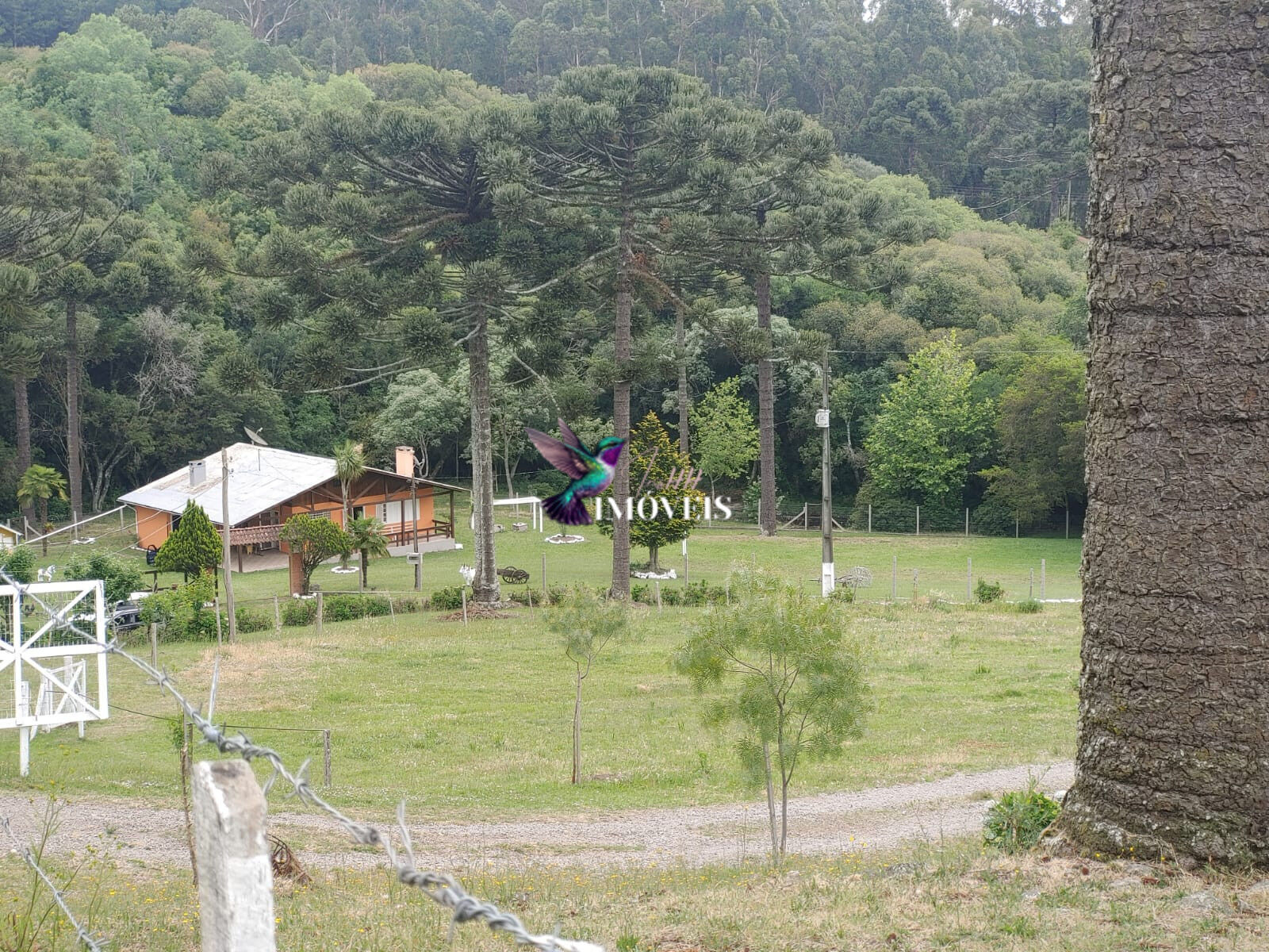 Chácara à venda com 4 quartos, 31000m² - Foto 39