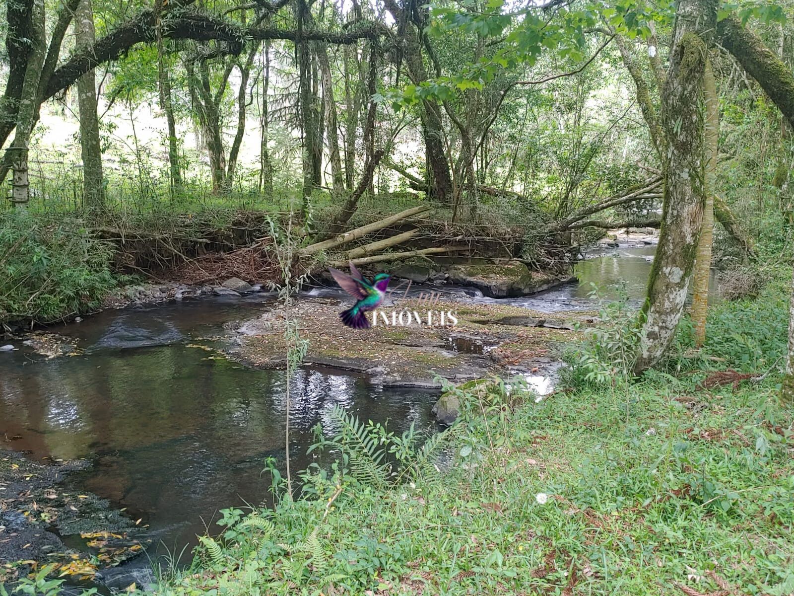 Chácara à venda com 4 quartos, 31000m² - Foto 48