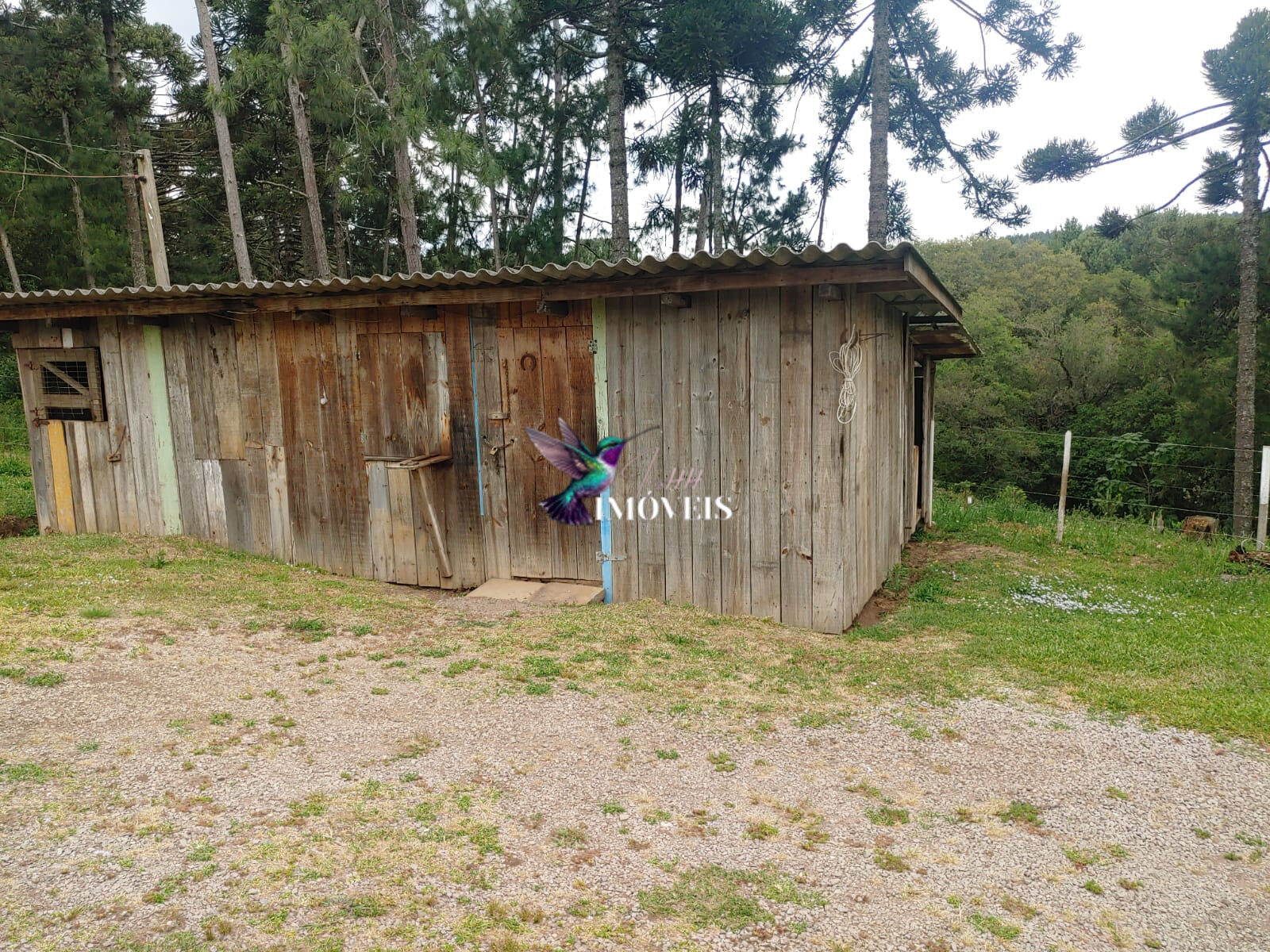 Chácara à venda com 4 quartos, 31000m² - Foto 42