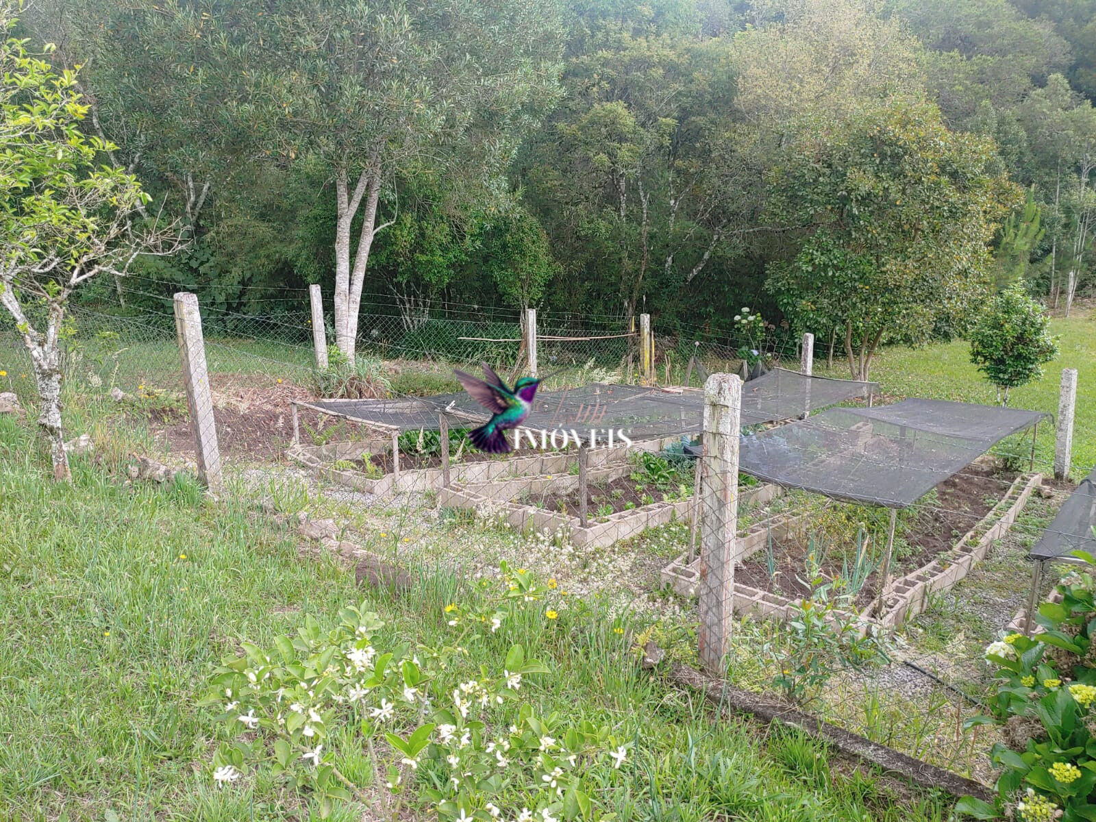 Chácara à venda com 4 quartos, 31000m² - Foto 47