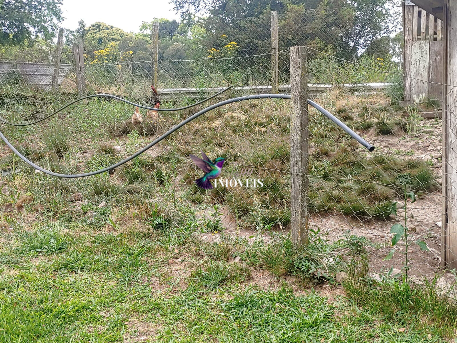 Chácara à venda com 4 quartos, 31000m² - Foto 44